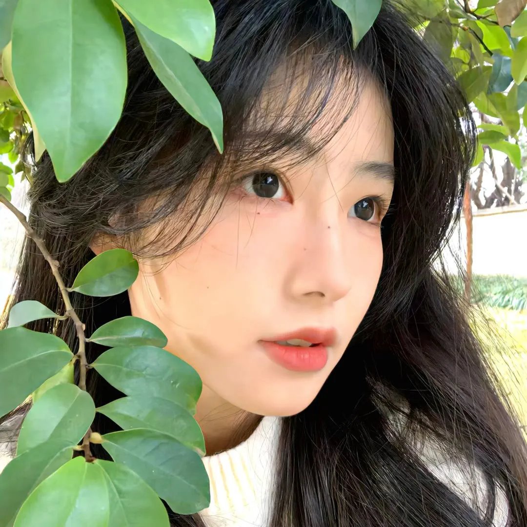 唯美貌不可辜负第一季